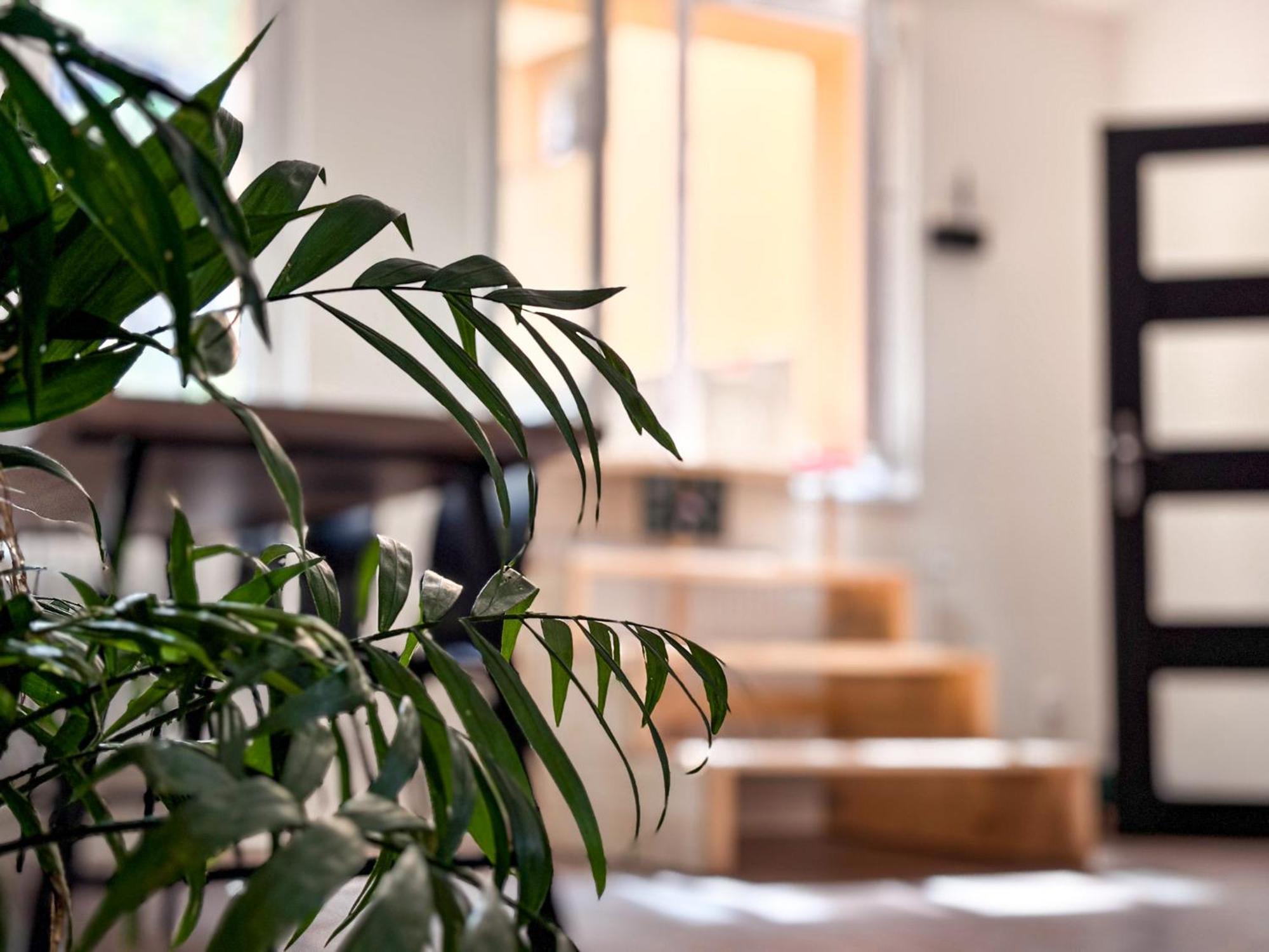 Remote Work Friendly Zahradni Apartman U Jezera Staré Splavy 外观 照片