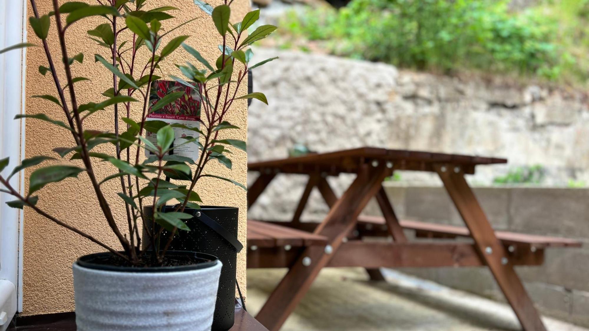 Remote Work Friendly Zahradni Apartman U Jezera Staré Splavy 外观 照片